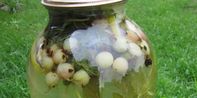 Рецепт Компота из крыжовника Мохито