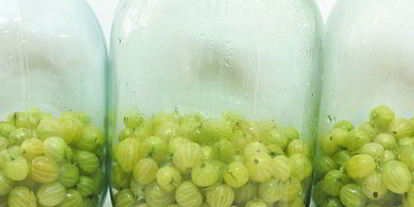 Шаг 1: компота из крыжовника мохито