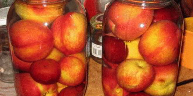 Рецепт компота из нектаринов