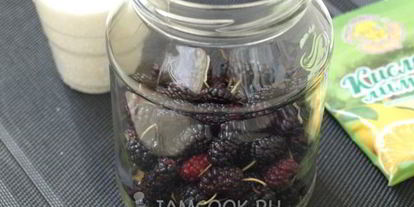 Шаг 3: компота из шелковицы на зиму