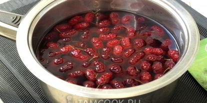 Шаг 5: компота из шелковицы на зиму