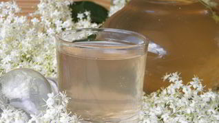 Рецепт Компота из цветков бузины