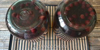 Шаг 15: компота из вишни