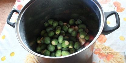 Шаг 1: компота из яблок, фейхоа и облипихи