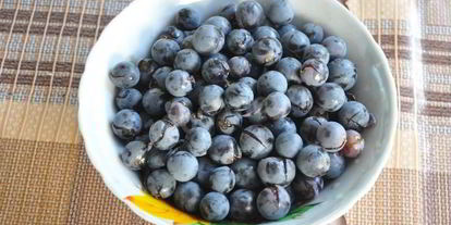 Шаг 1: виноградного компота из изабеллы