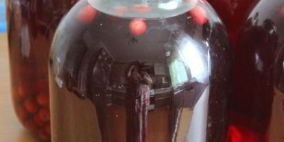 Шаг 8: вишневого компота на зиму