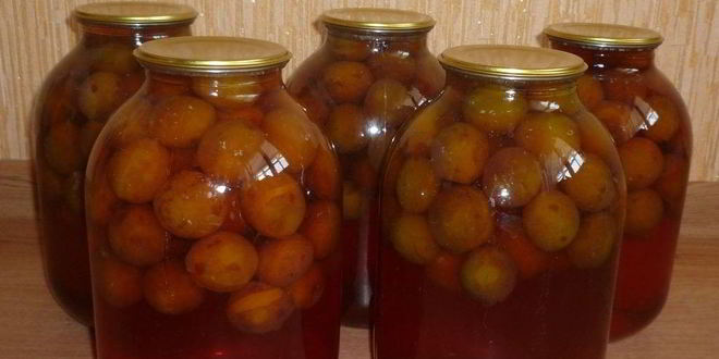 Рецепт закатки компота из слив