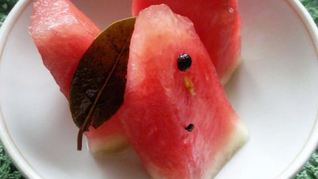 Рецепт Квашеных арбузов