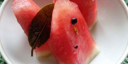 Шаг 3: квашеных арбузов