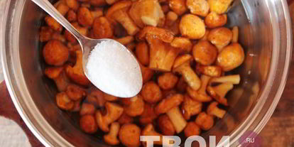 Шаг 1: лисичек на зиму