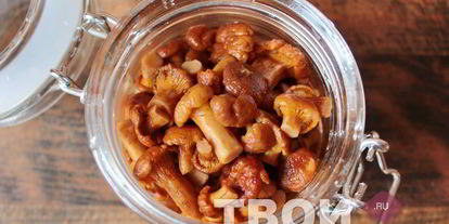 Шаг 2: лисичек на зиму