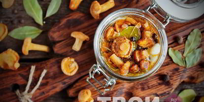 Шаг 5: лисичек на зиму