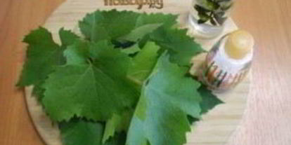 Шаг 1: листьев для долмы на зиму