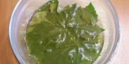 Шаг 3: листьев для долмы на зиму