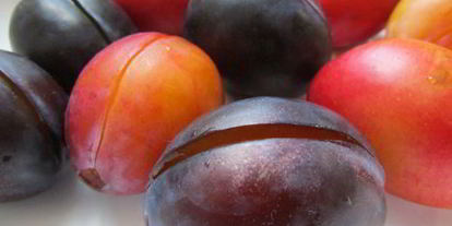 Шаг 2: краснокочанной капусты, маринованной со сливами