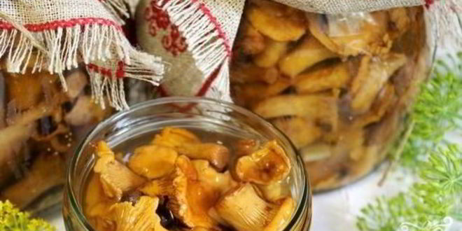 Рецепт лисичек маринованных соленых