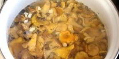 Шаг 2: лисичек маринованных соленых