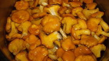 Рецепт Лисичек, маринованных в масле