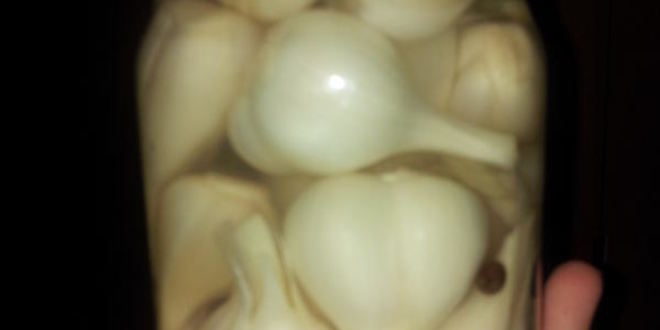 Рецепт маринованного чеснока