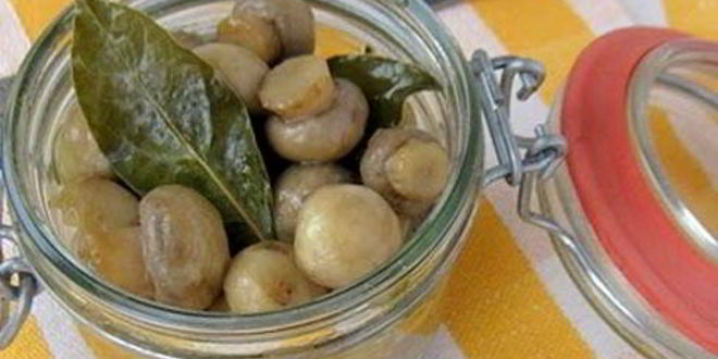 Рецепт маринованных грибов в мультиварке