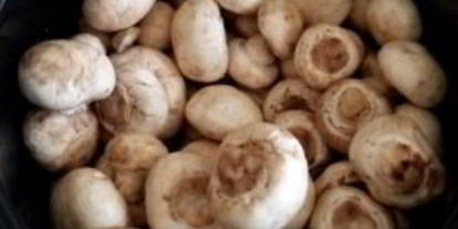 Шаг 2: маринованных грибов в мультиварке