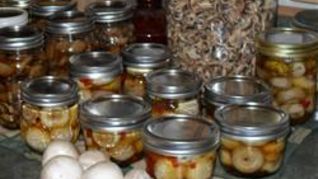 Рецепт Маринованных грибов