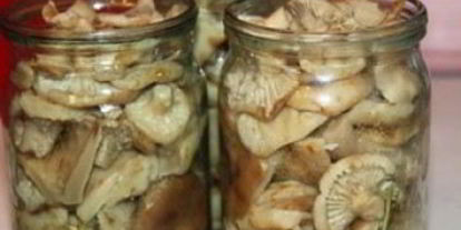 Шаг 3: маринованных груздей с чесноком