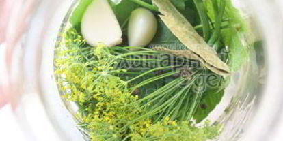 Шаг 1: маринованных хрустящих огурчиков на зиму