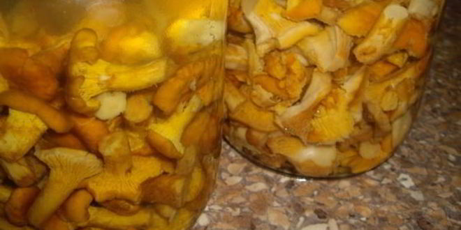 Рецепт маринованных лисичек с чесноком