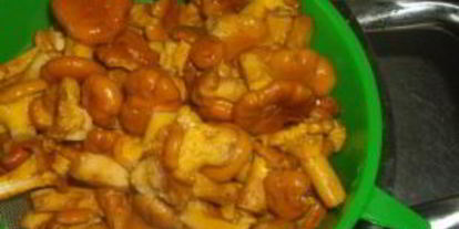 Шаг 3: маринованных лисичек с чесноком