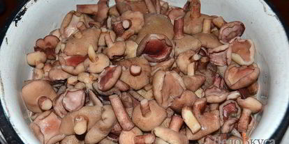 Шаг 5: маринованных маслят на зиму