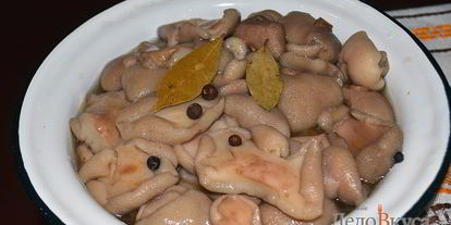 Шаг 8: маринованных маслят на зиму