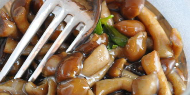 Рецепт маринованных моховиков