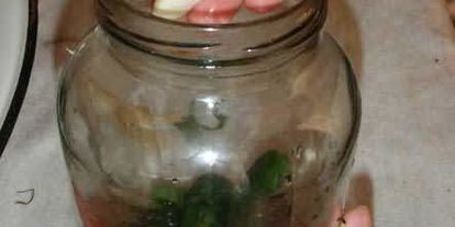 Шаг 31: маринованных огурчиков