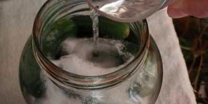 Шаг 41: маринованных огурчиков