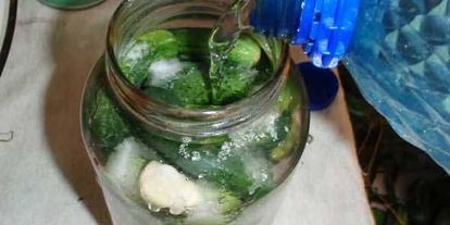 Шаг 44: маринованных огурчиков