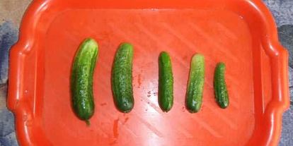 Шаг 19: маринованных огурчиков