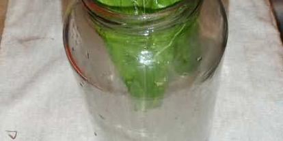 Шаг 21: маринованных огурчиков