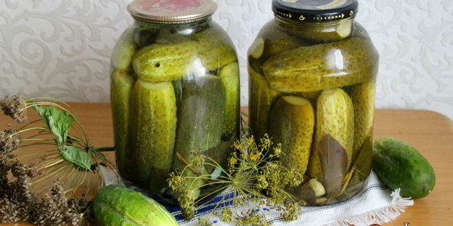 Рецепт маринованных огурцов с имбирем