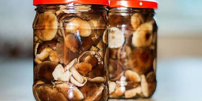 Рецепт маринованных опят