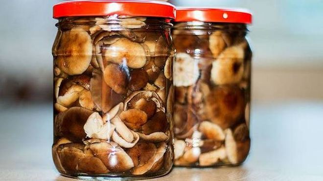 Рецепт Маринованных опят