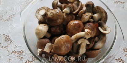Шаг 5: маринованных подберезовиков
