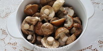 Шаг 6: маринованных подберезовиков
