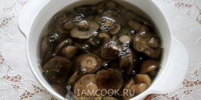 Шаг 12: маринованных подберезовиков