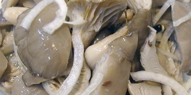 Рецепт маринованных вешенок