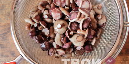 Шаг 2: маслят маринованных