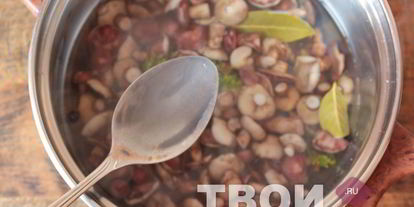 Шаг 5: маслят маринованных