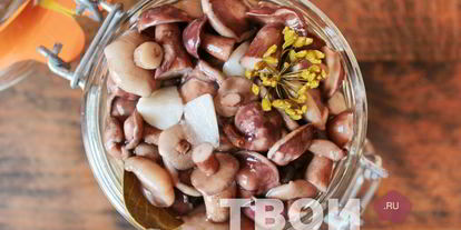 Шаг 6: маслят маринованных