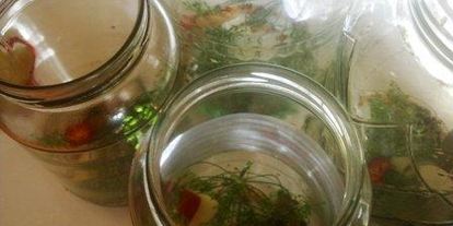 Шаг 2: огурцов маринованных на зиму