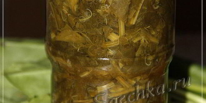 Рецепт щавеля на зиму